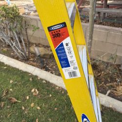Warner 8 Ft Ladder