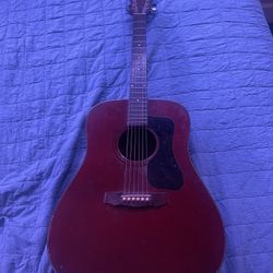 1976 Acoustic Guild Guitar 