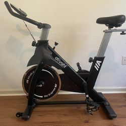 Ativafit IC-702 Exercise/Spin Bike