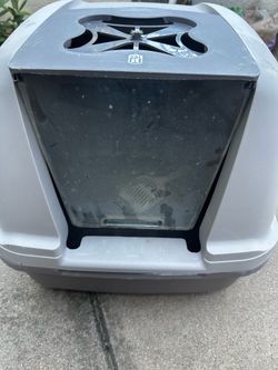 Free Large cat litter box