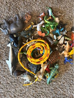 Animal Figurines - Toys