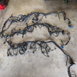 92-00 Honda Civic Vtec Wiring Harnesses