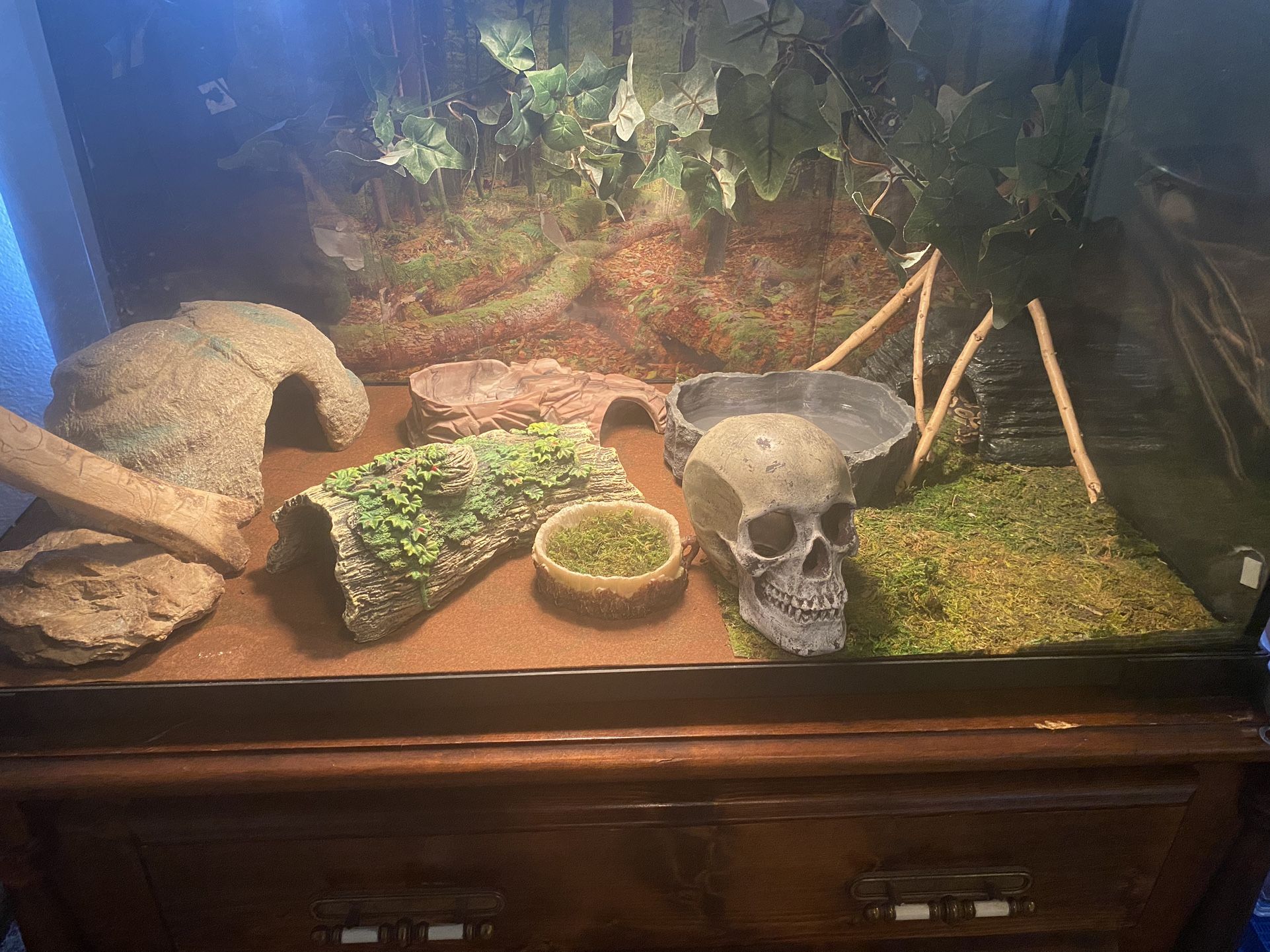 Reptile Enclosure With Accessories