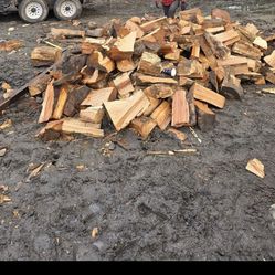Seasoned Wood Evergreen Mix