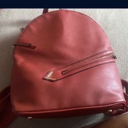 Vegan Backpack
