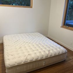 Saatva Rx Eco-conscious Mattress- Cal king 
