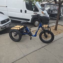 Electric Tri Bicycle Demo 48V15amp 