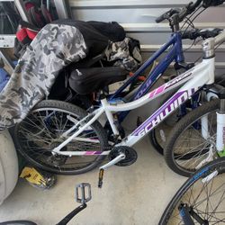 Schwinn Mountain Bike