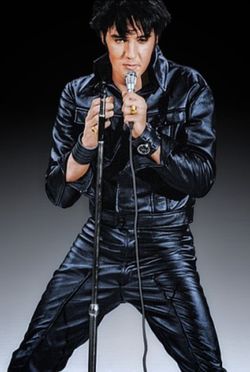 ELVIS PRESLEY PICTURE