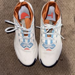 Nike Pegasus Trail 5 GORE-TEX