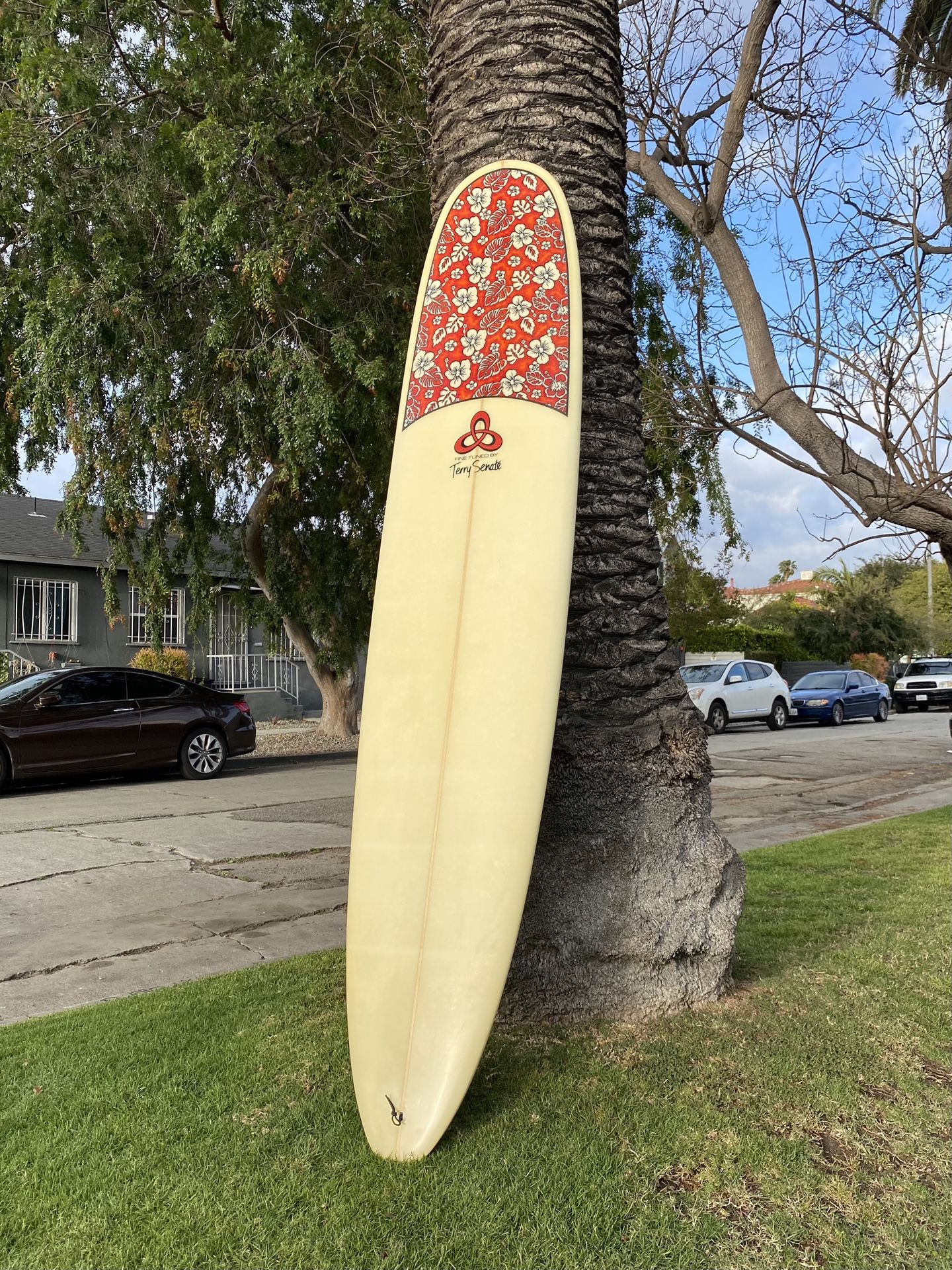 Terry senate surfboards deals