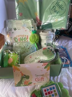 Dinosaur gift set