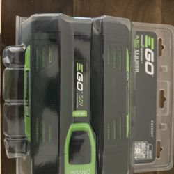 Ego 56v 5ah Li Ion Battery