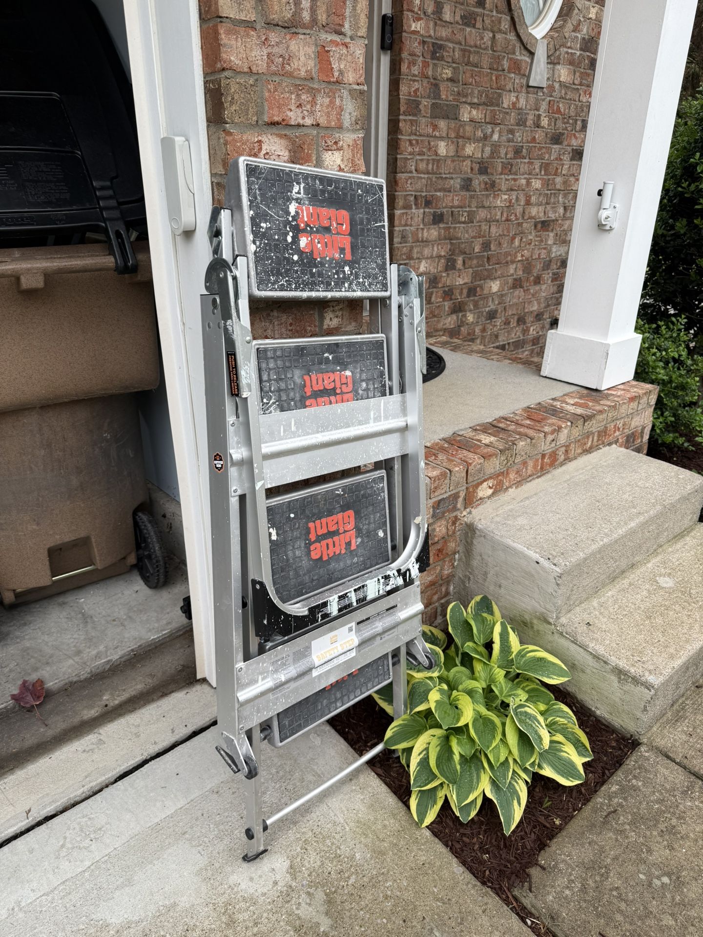 Little Giant Ladder