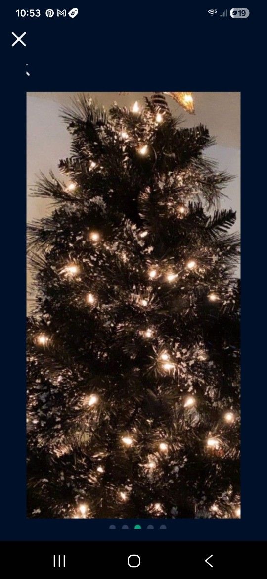 Tall Ins Size. Over 5ft. Pick Up.  Black In Color 