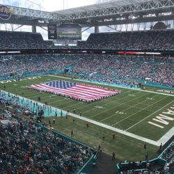 Miami Dolphins VS Carolina Panther 