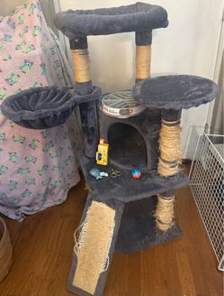 Cat tree and toys