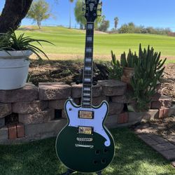 D’Angelico Premier Brighton In Sherwood Green 