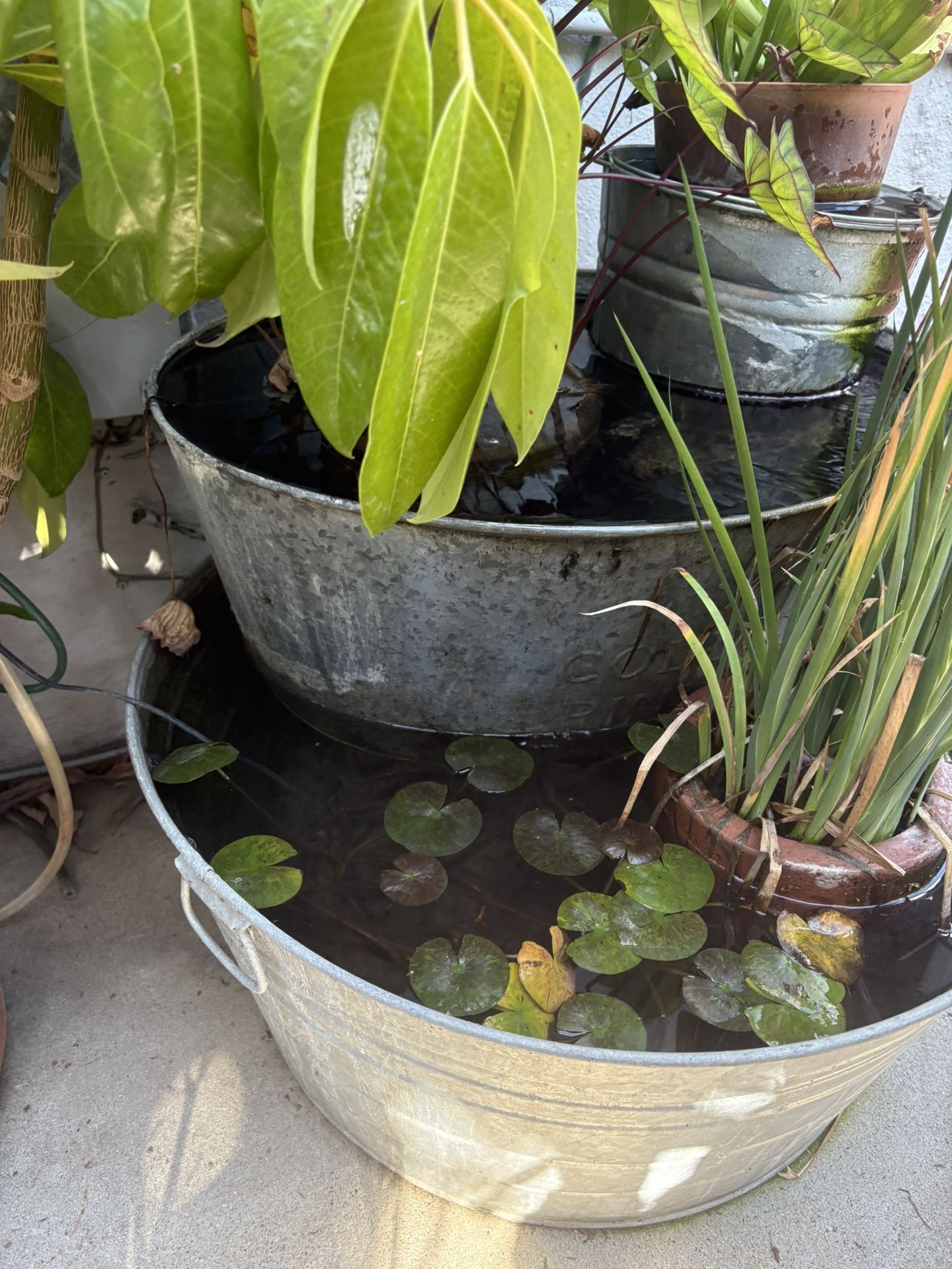 Solar-powered Homemade Water Feature Fountain With Plants