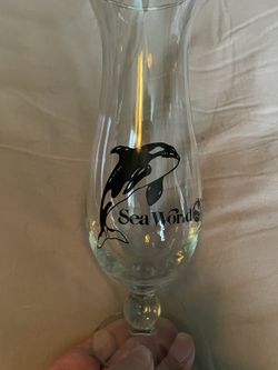 Seaworld Hurricane Glass