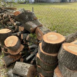 Free Freshly Cut Firewood 