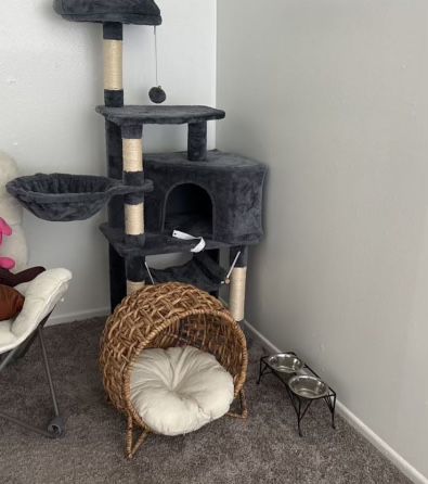 Cat Play House Set. 