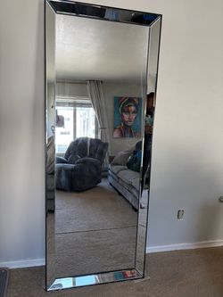 Silver Standing Wall Mirror $45 OBO