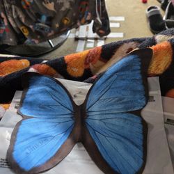 Butterfly Glasses/phone Wipe