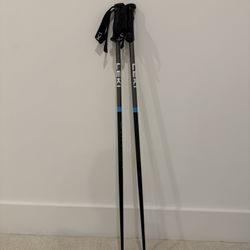 Leki QNTM Ski Poles 