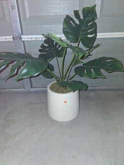 Faux Monstera Plant in White Ceramic Pot