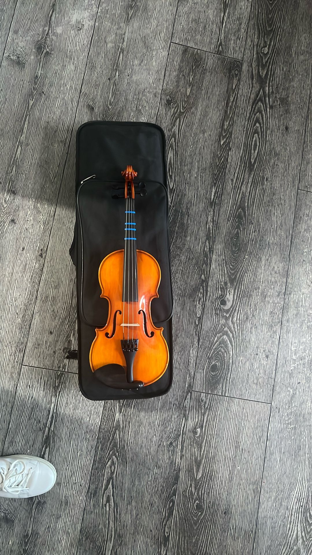 1/2 Violin