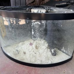54 Gal Bow Front Fish Tank
