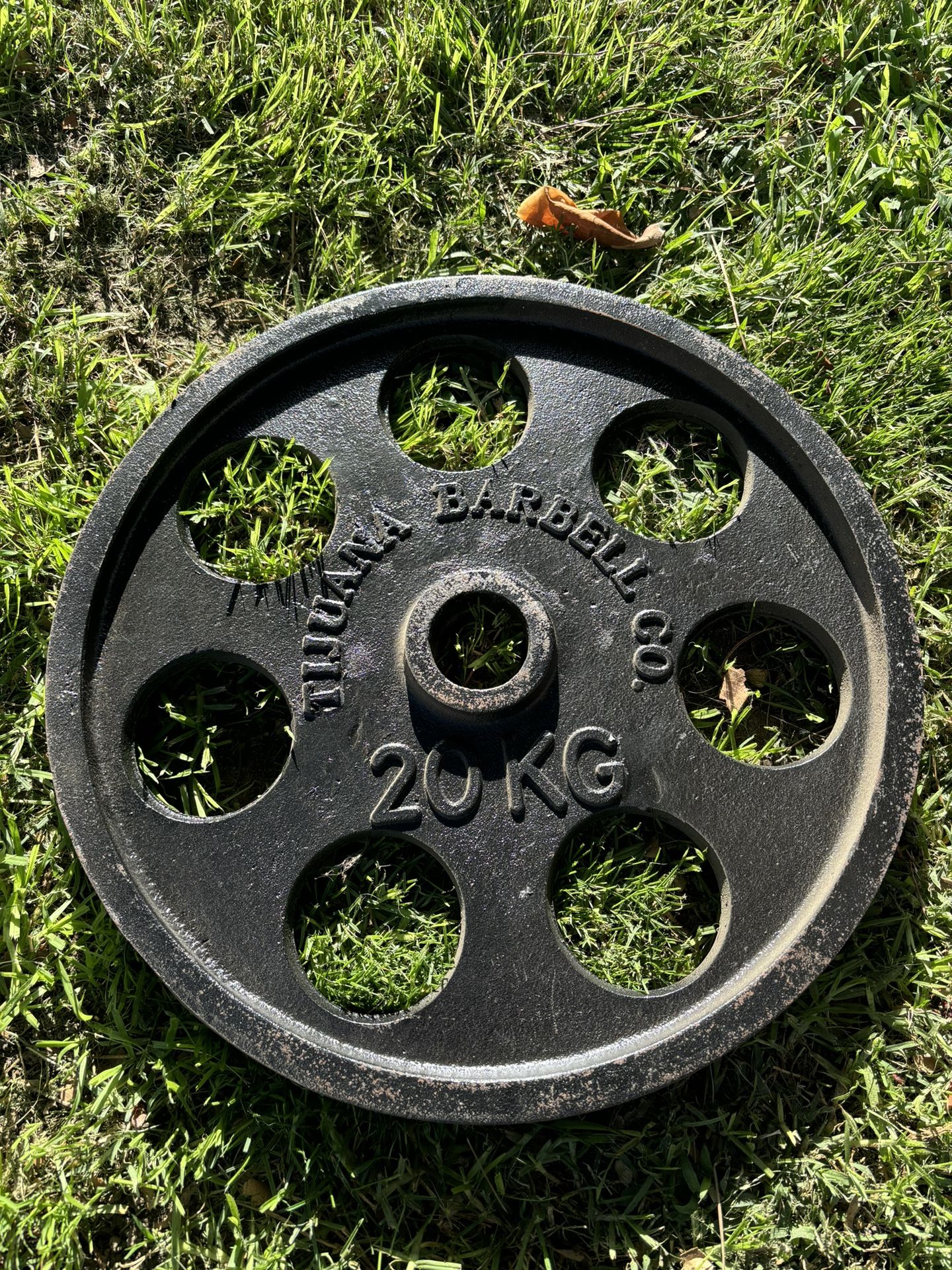 💪 Cast Iron Weight Plates – 162 kg (357 lb) Total