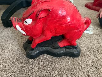 Arkansas Razorback Hogs