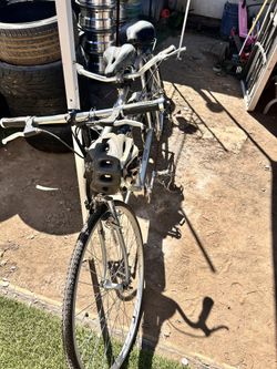 Dual Passenger Bike