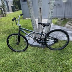 Adult BMX Cruiser 