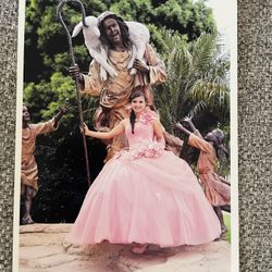 Light Pink Quinceañera Dress