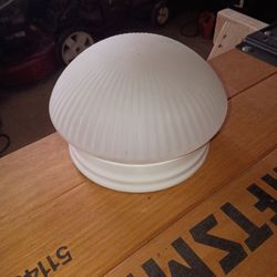 Ceiling Light