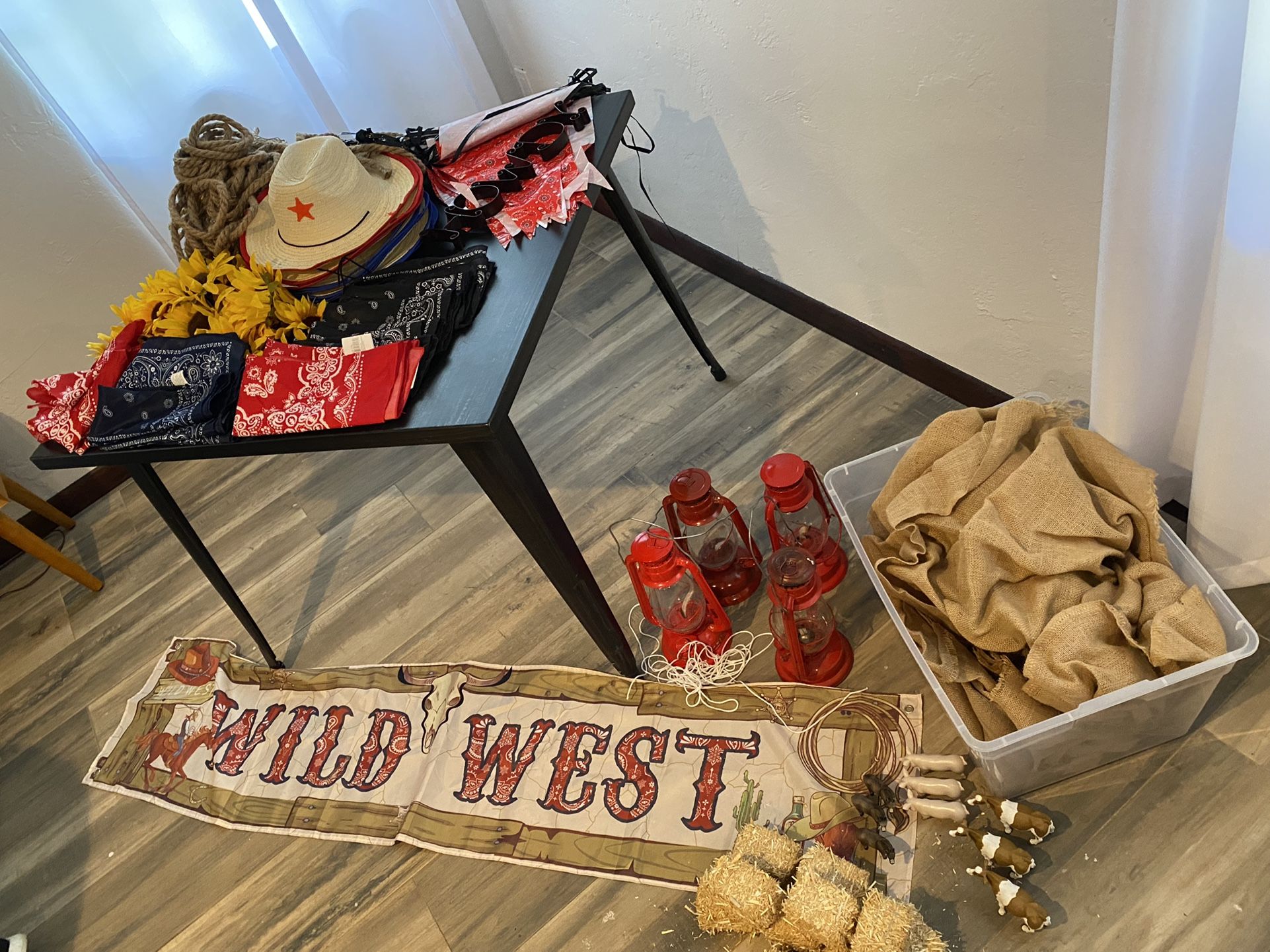 Wild West Country Barn Yard Farm Party Decoration 