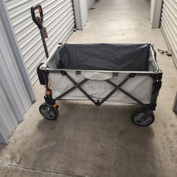 Electric Cart/Wagon