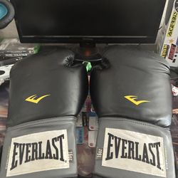 16oz Everlast Gloves