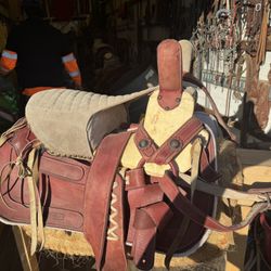 Escaramuza Saddle 