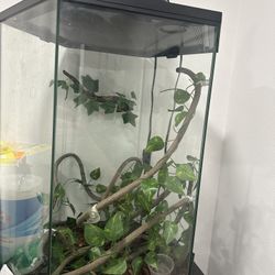 Chameleon Enclosure 