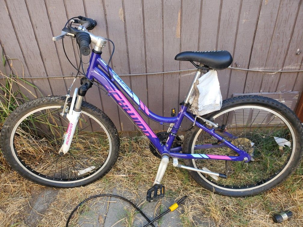 New Shwinn Ranger
