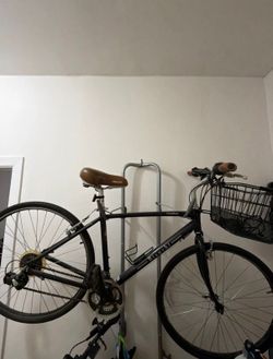Bianchi Bike •Cortina•