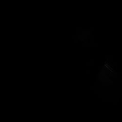 I Have Lululemon And Alo