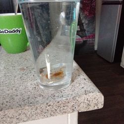 Vintage GAG JOKE Bugs In Ice cubes 