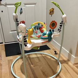 Fisher Price Jumperoo Activity Baby Jumper