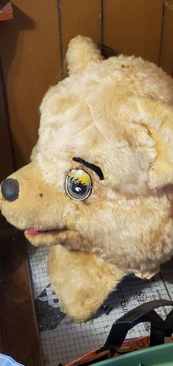 Complete Bear Suit From 80's I Think