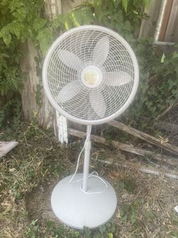 Fan.